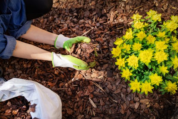 Garden Mulching in Oviedo