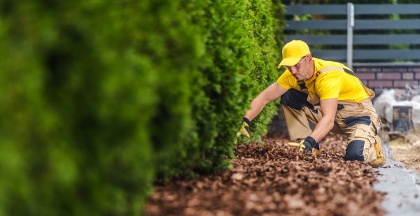 Cypress Mulch Installation in Oviedo