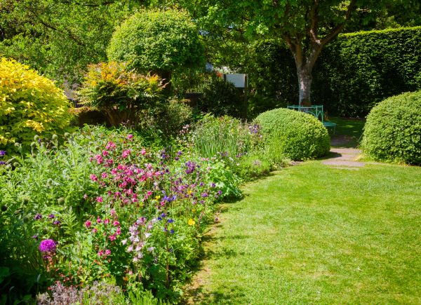 Yard Landscaping Service in Oviedo
