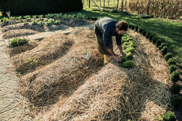 Straw Mulching Service in Oviedo