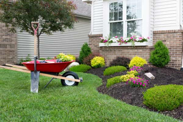 Tree And Shrub Planting in Oviedo