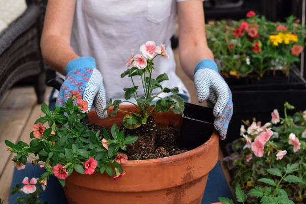 Plant Care Service in Oviedo