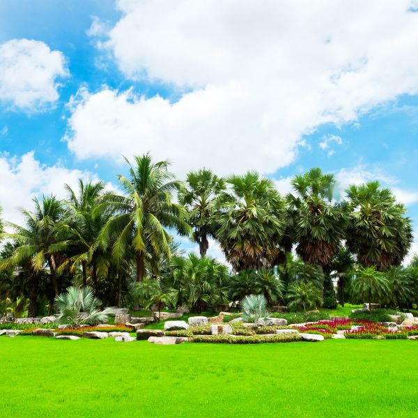 Tropical Landscaping in Oviedo