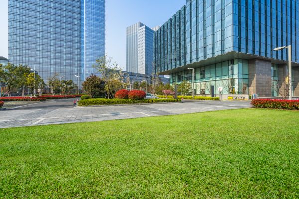 Industrial Landscaping Service in Oviedo