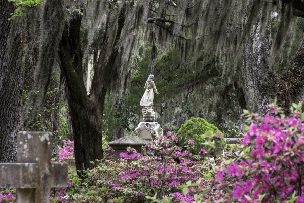 Cemetery Landscaping in Oviedo