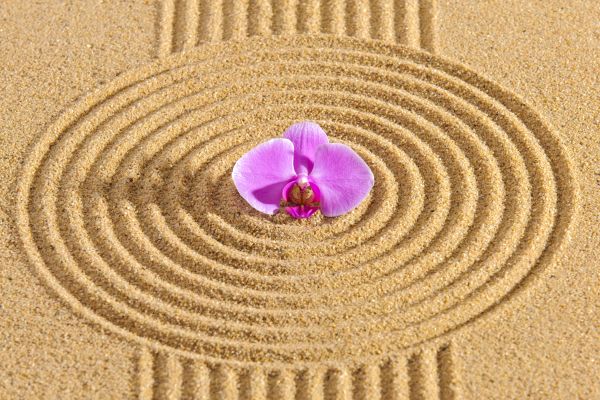 Sand Garden Landscaping in Oviedo