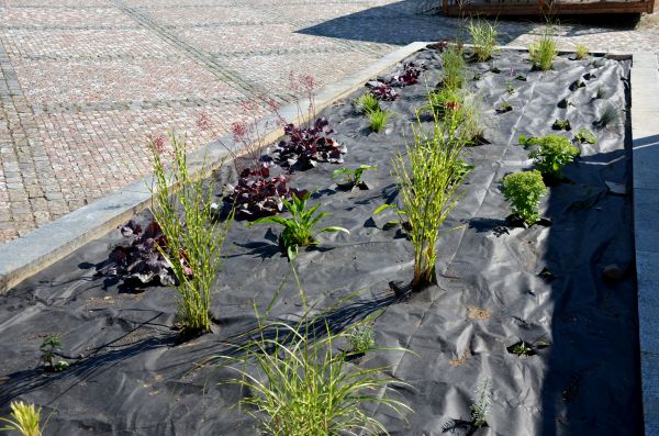 Landscape Fabric Installation in Oviedo