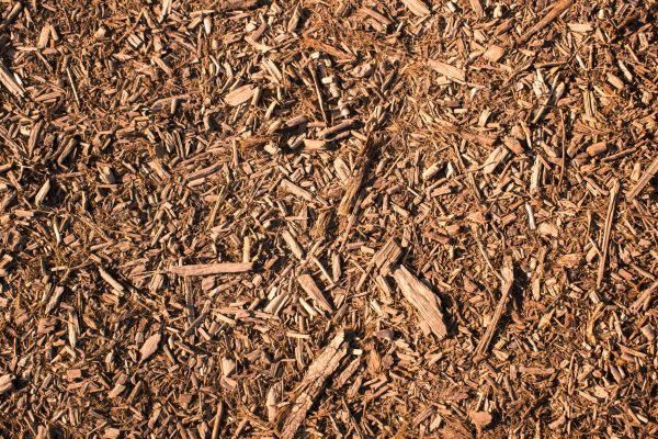 Wood Chips Removal in Oviedo