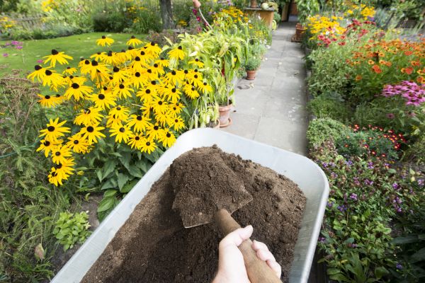Topsoil Replacement in Oviedo