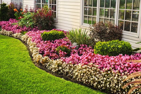 House Landscaping in Oviedo