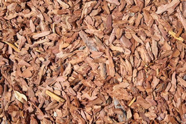 Pine Mulch Spreading in Oviedo