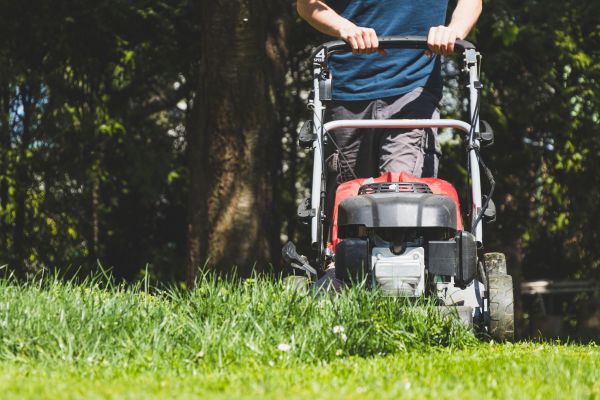 Garden Trimming Service in Oviedo