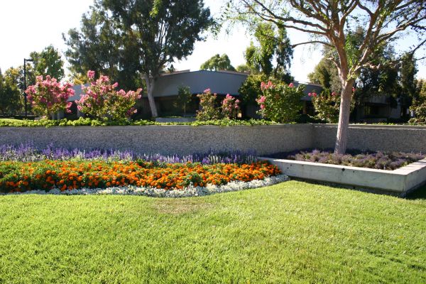 Commercial Landscape Service in Oviedo
