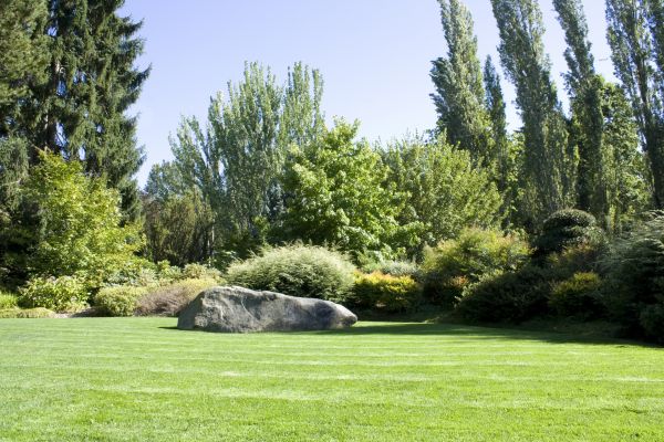 Yard Enlargement in Oviedo