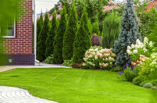 Spring Landscaping in Oviedo