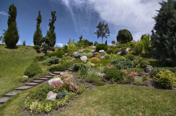 Steep Terrain Landscaping in Oviedo