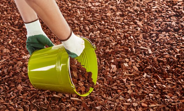 Wood Chip Landscaping in Oviedo