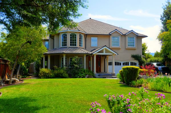 Large Yard Landscaping in Oviedo