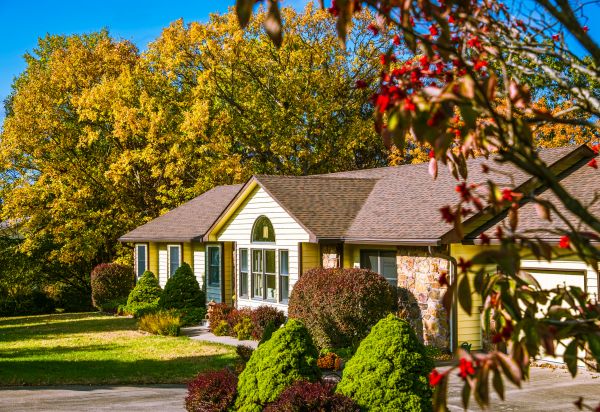 Ranch Landscaping in Oviedo